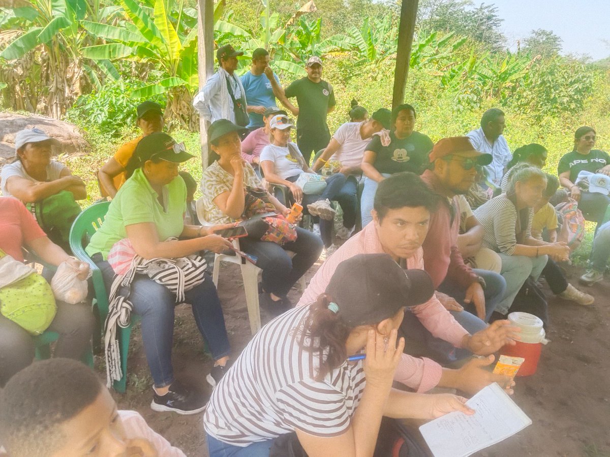 Alcaldía Agustín Codazzi tweet media