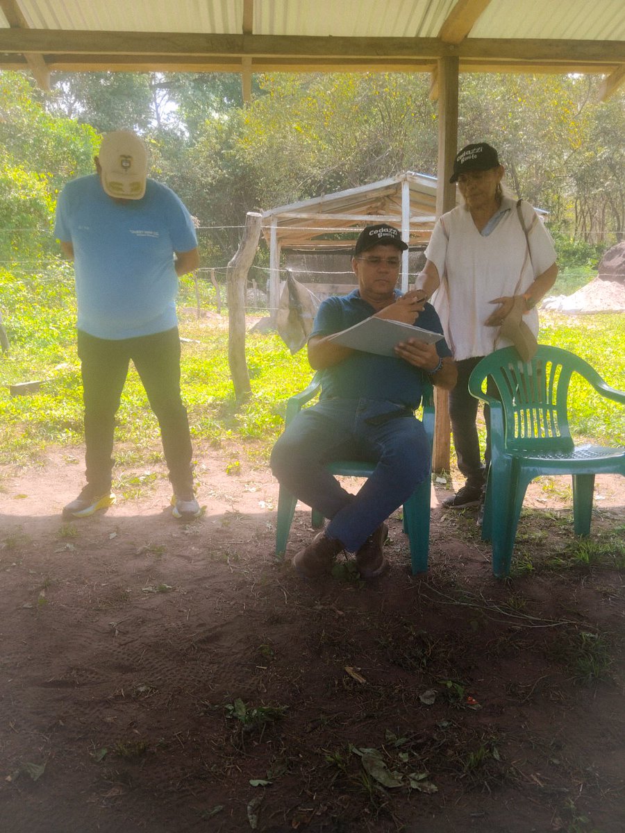 Alcaldía Agustín Codazzi tweet media