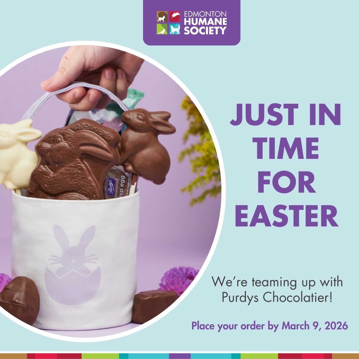 Edmonton Humane Society tweet media