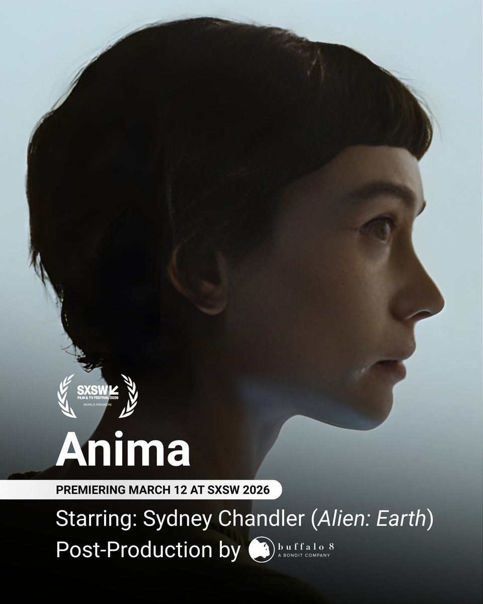 Buffalo 8 tweet media