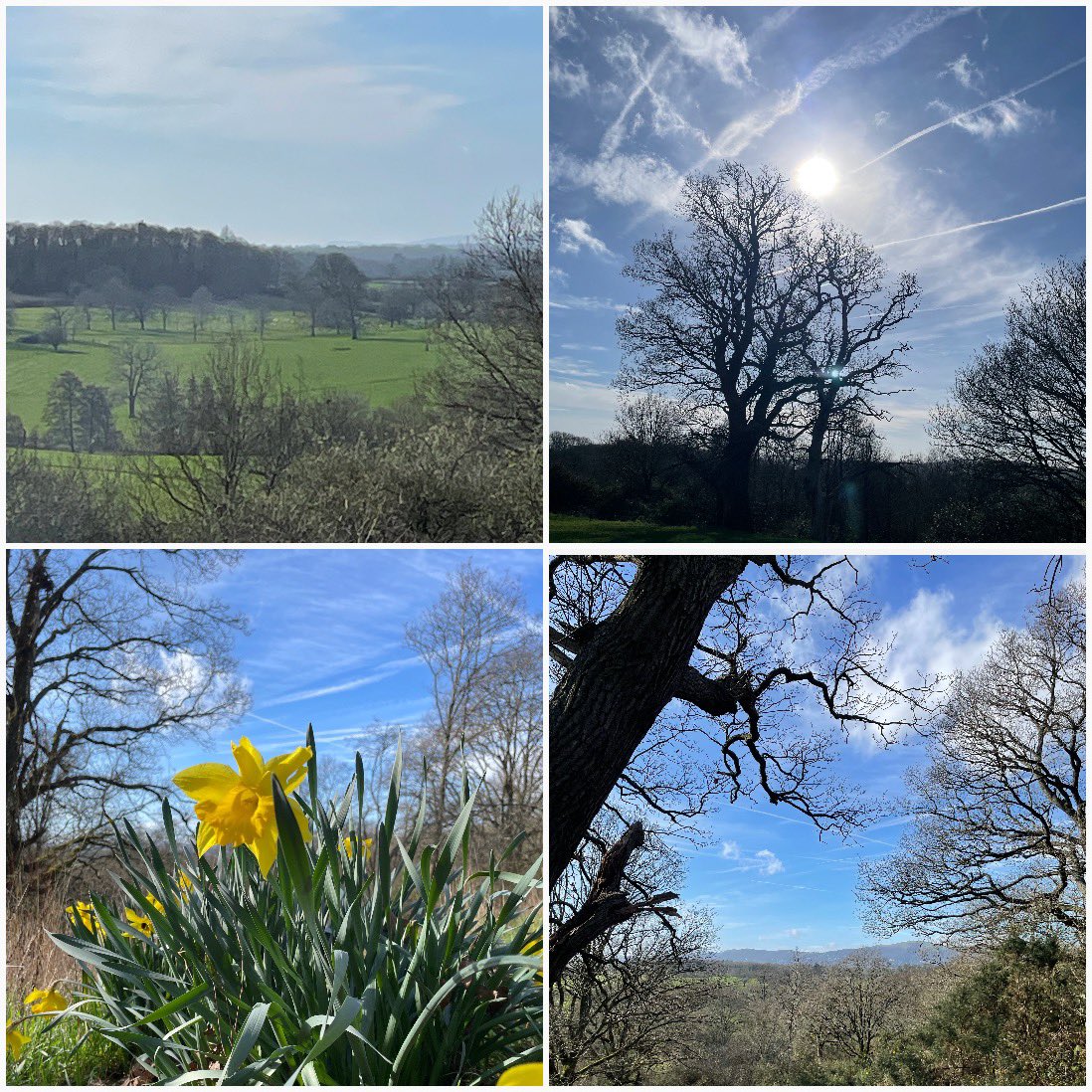 CopsonSharon's tweet photo. Wonderful morning 🌞🌼 https://t.co/yLSnlR3nBB