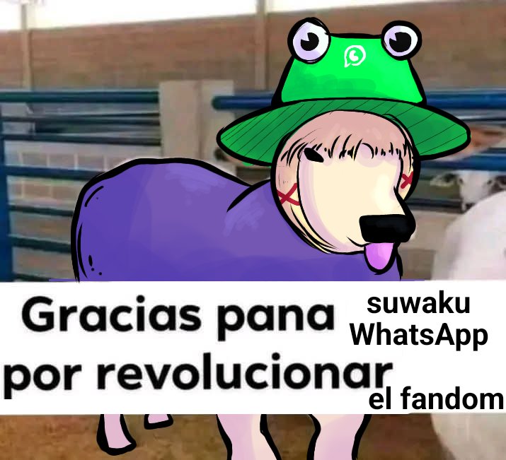 PayaMt🚪 tweet media