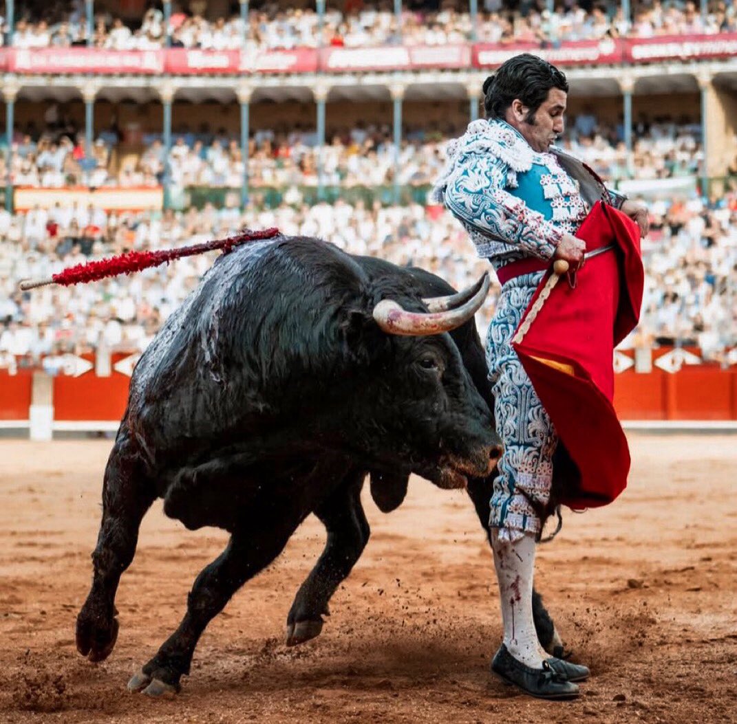 monjeconj tweet media