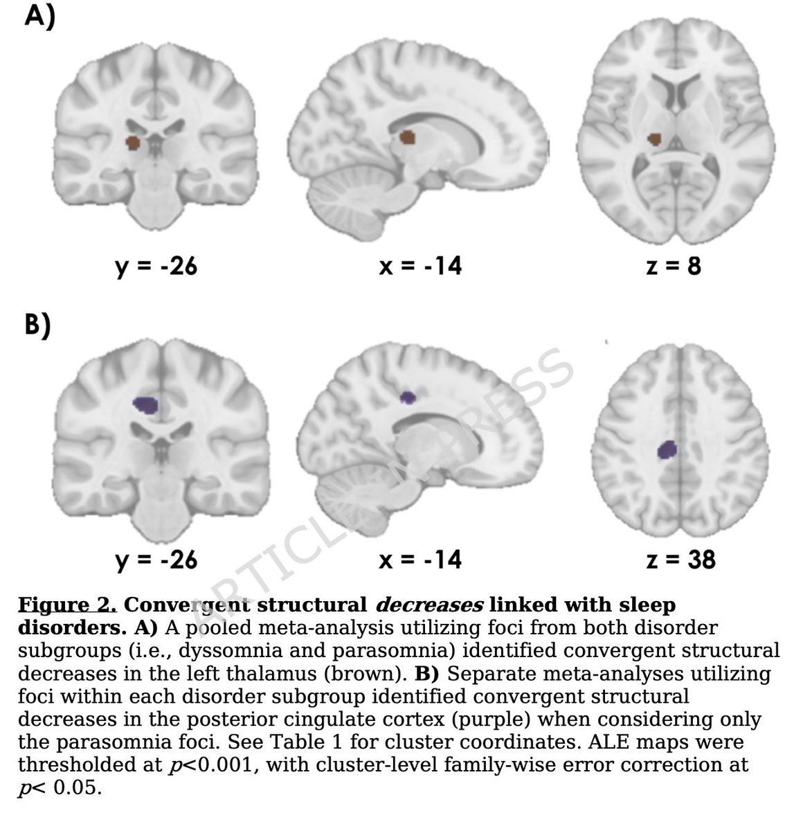 Jamie Hanson (@jamielarsh.bsky.social) tweet media