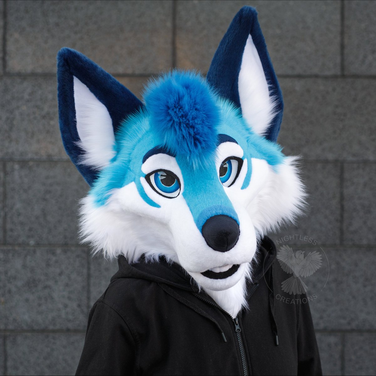 Nightless Creations tweet media