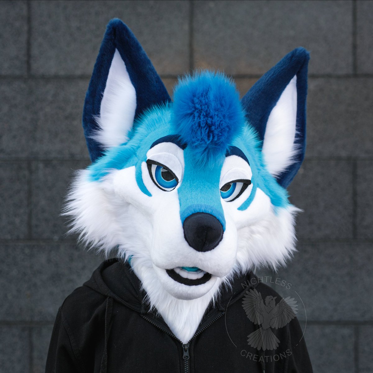 Nightless Creations tweet media