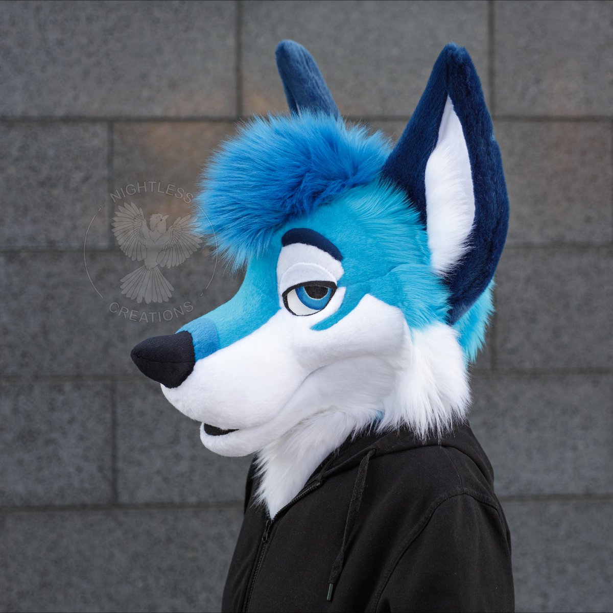 Nightless Creations tweet media