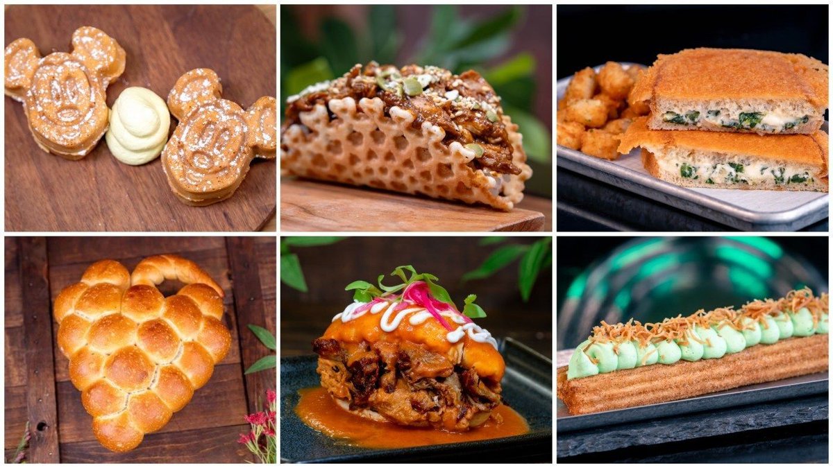 Brady MacDonald tweet media