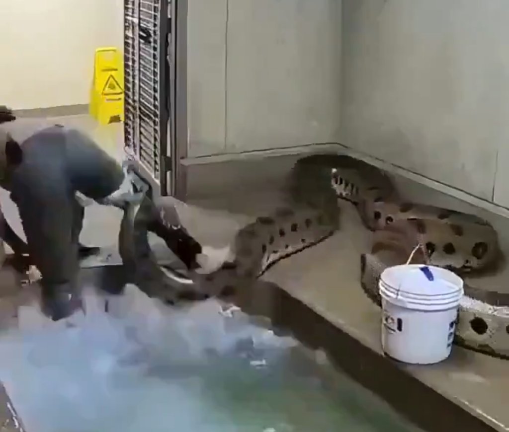 Bolek 🌐 tweet media