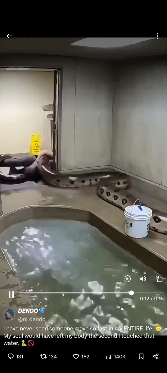 Bolek 🌐 tweet media