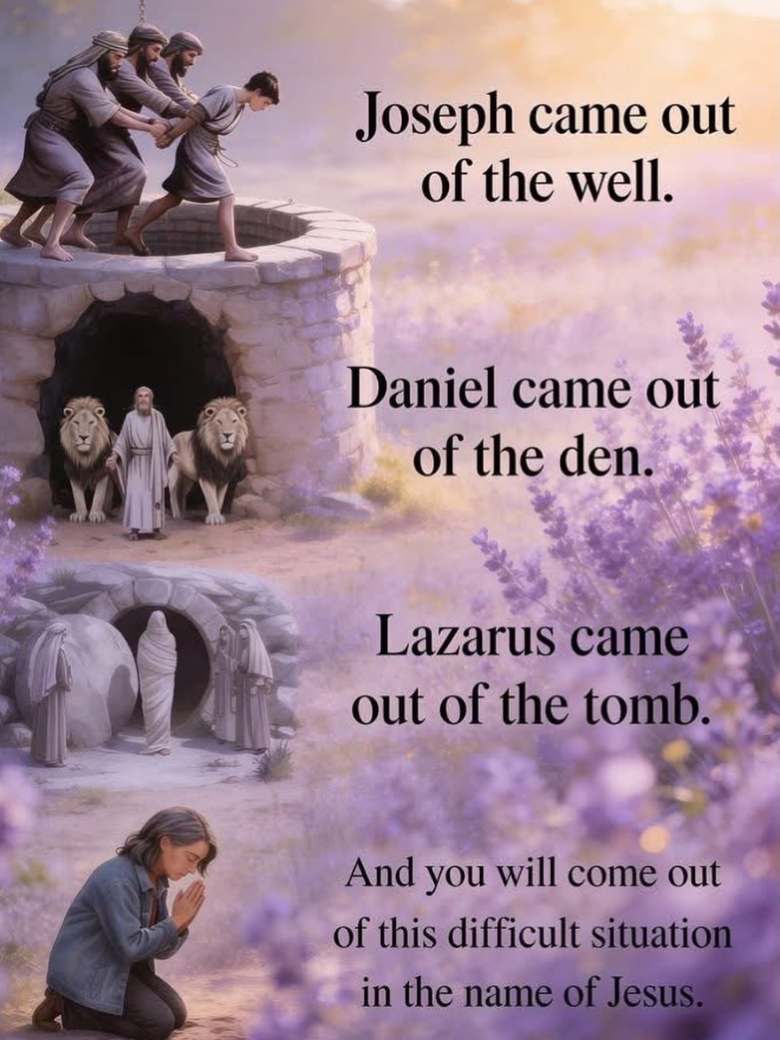 Mind Essentials tweet media