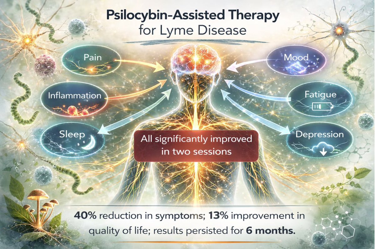 Johns Hopkins just published psilocybin data on a disease that currently has no approved treatments.

Post-treatment Lyme disease affects millions of people who were treated for Lyme but never recovered. Chronic fatigue, pain, cognitive problems, sleep disruption, anxiety,