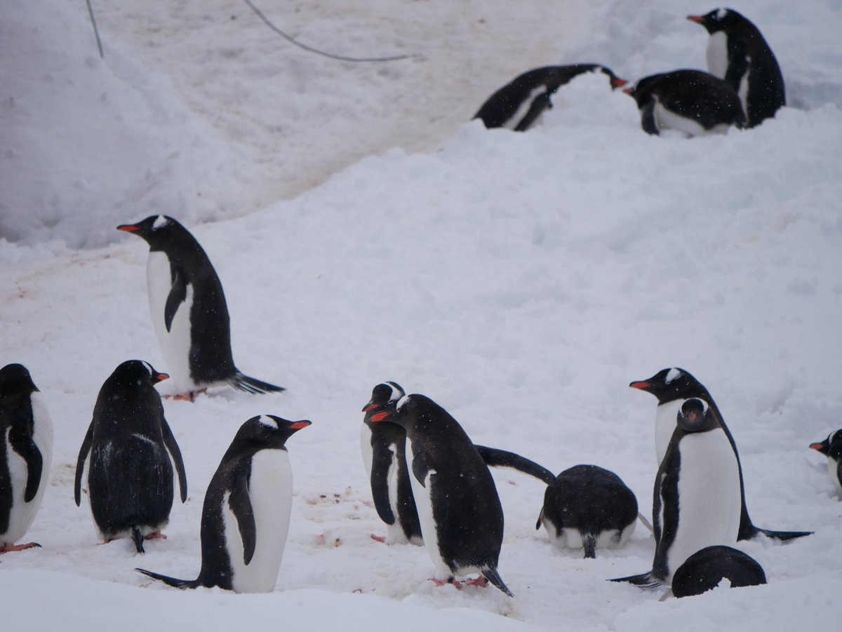 Nigel Appleton tweet media