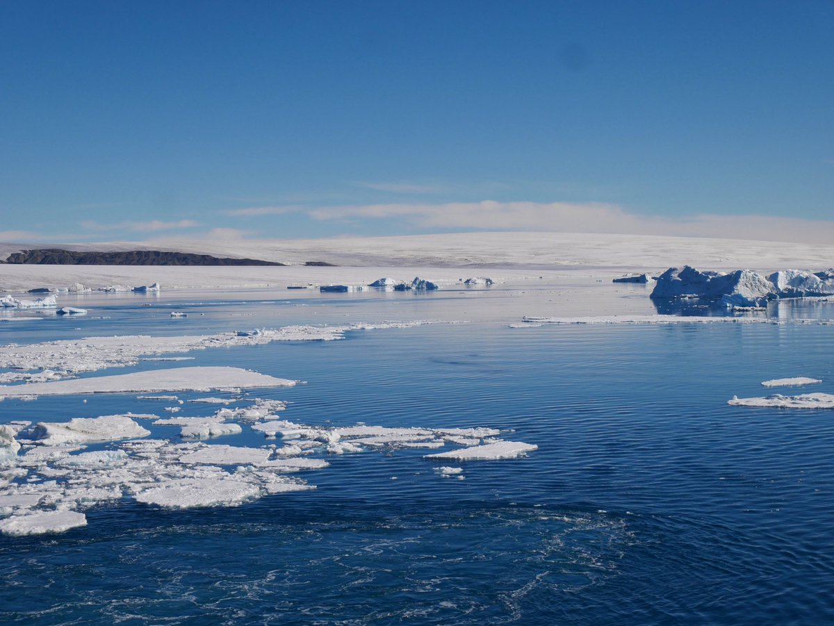 Nigel Appleton tweet media