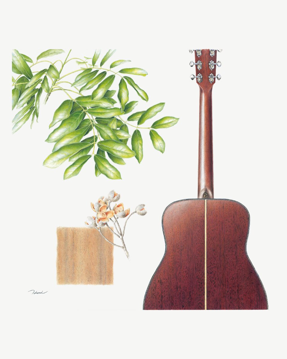 ヤマハアコースティックギタージャパン (@yamaha_acogt_jp) / Posts / X