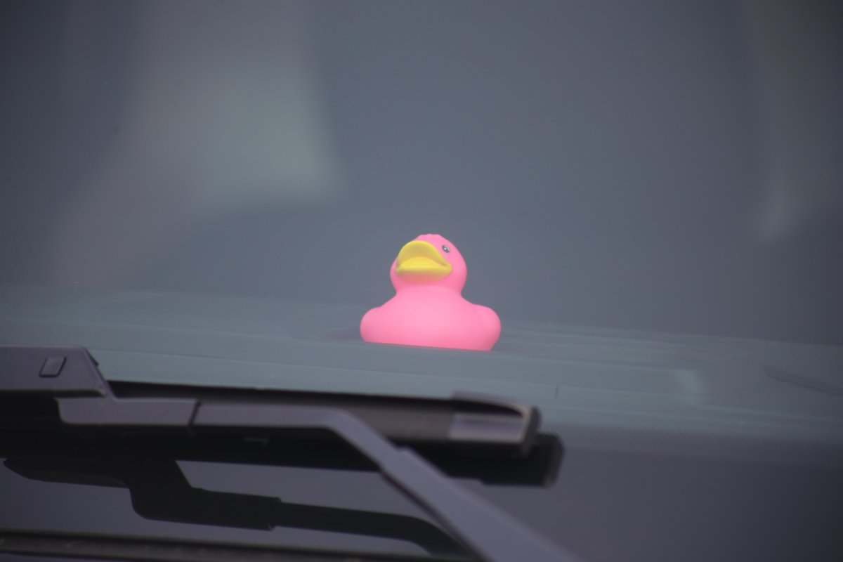 CouncilBluffsSchools tweet media