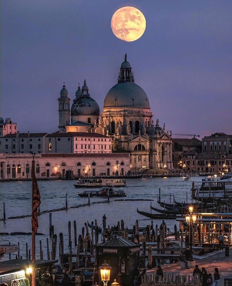 ELEONORA tweet media