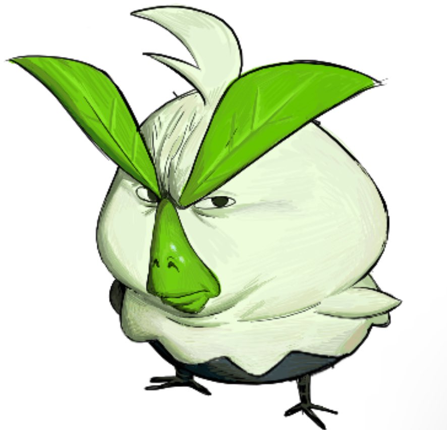 Dude I love this bird