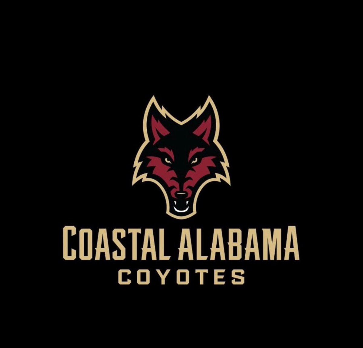 Jordan Senegal tweet media