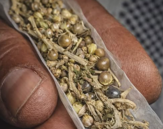 si los politicos fueran un porro