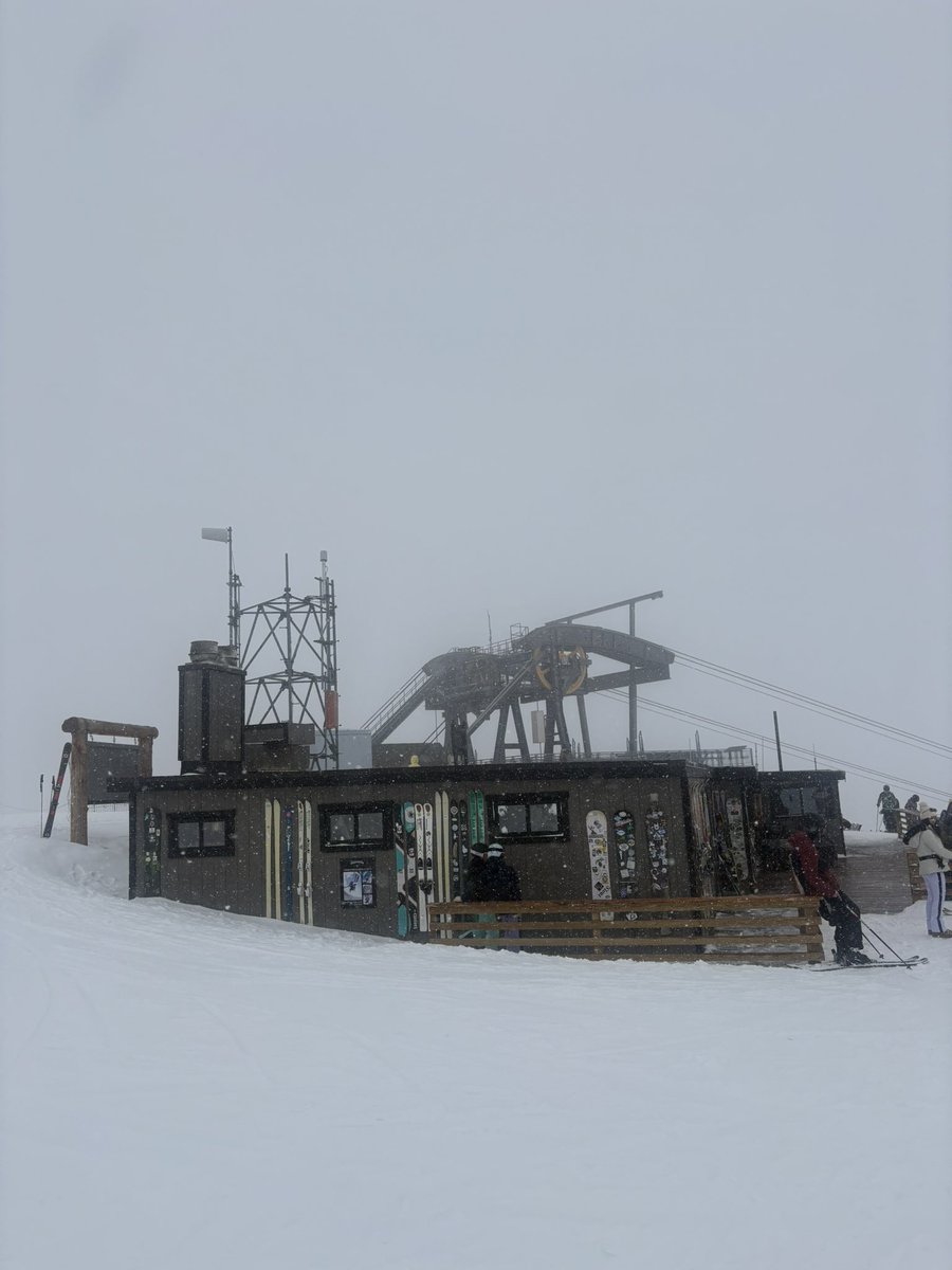 Public Ivy Prince tweet media