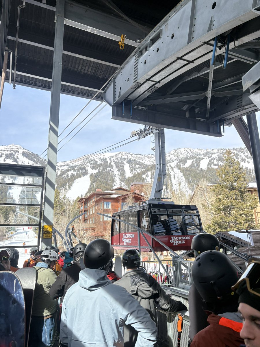 Public Ivy Prince tweet media