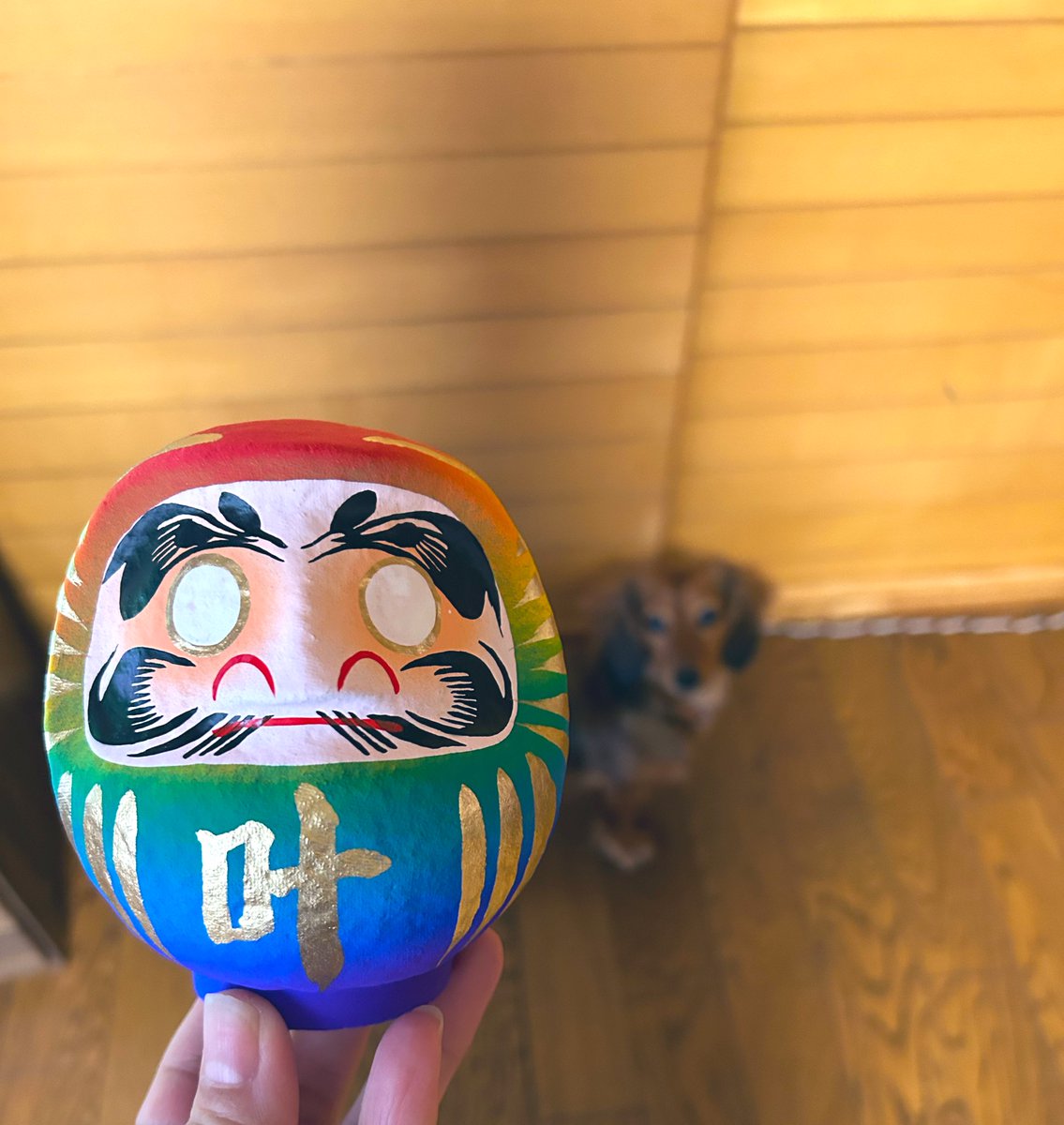 kamesome's tweet photo. おはようございます🐢

だるまさん、やってきました😊
しかもカラフル🌈✨

背中には…
＼ 亀染屋 ／

縁起物をあつかう亀染屋に
縁起物のだるまさん

なんだかもう
ふくふく倍増です✨

あなたにも
“ふくふく” 届きますように🙏🏻🤍

#亀染屋 #縁起物 #だるま #福が来る 
#鹿児島
RTで福わけしましょ https://t.co/2zQMIMhSnq