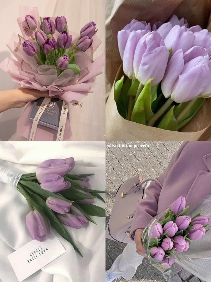 Only Tulips (@tutututututulip) on Twitter photo 