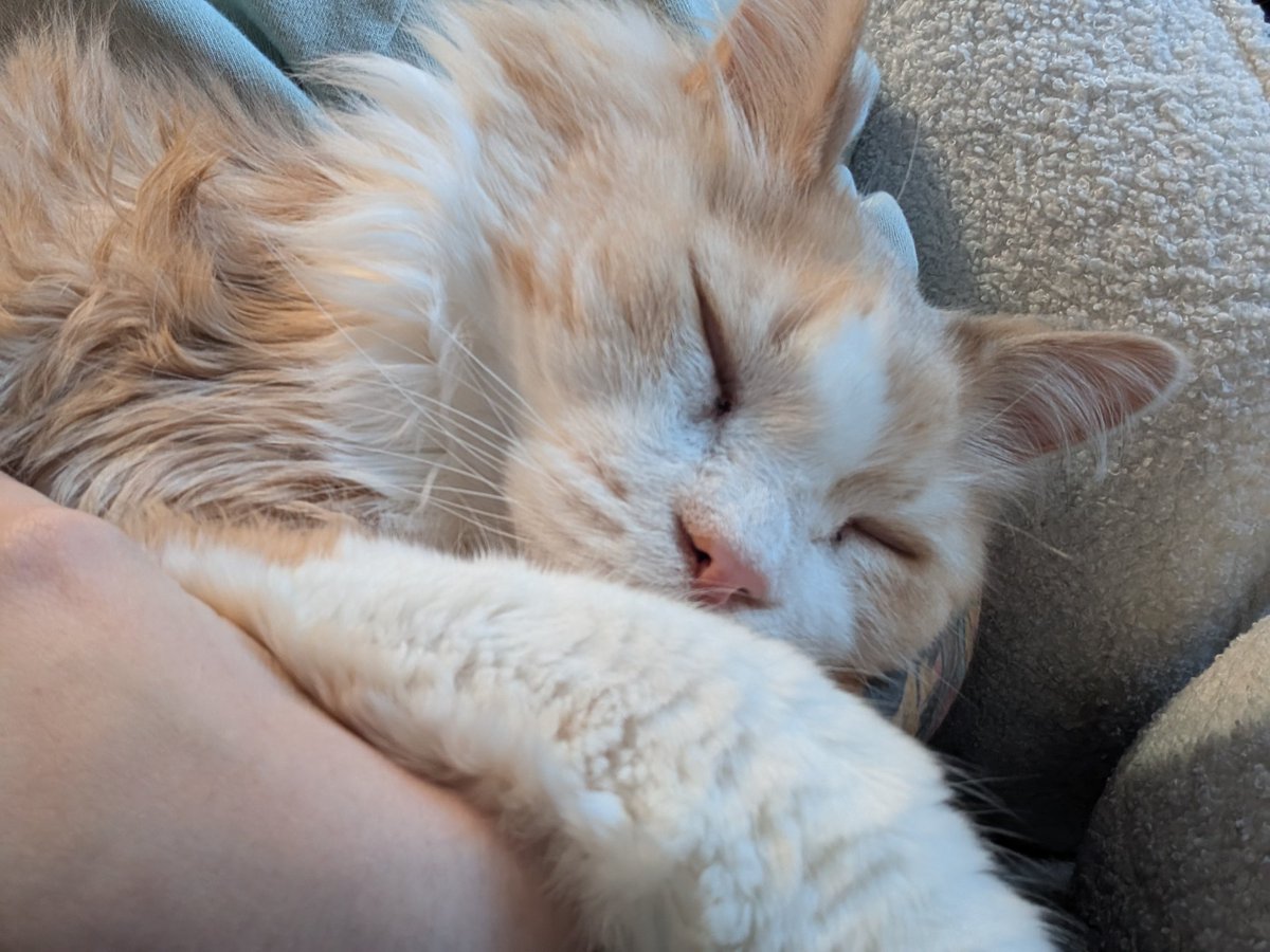 Kasey🌻👻 tweet media