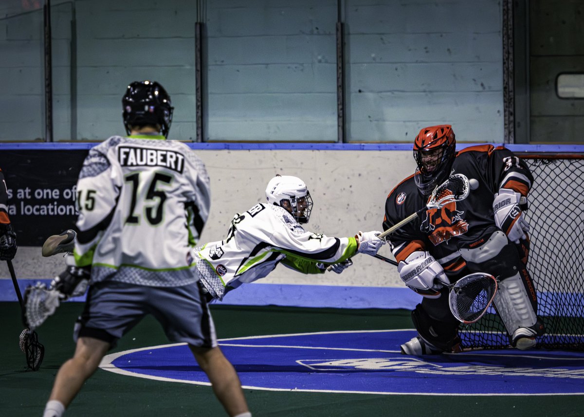 allsteelhawks's tweet photo. A pair of games remain in the season. The Steelhawks win streak has them primed for the playoffs. A Feb 28 win over @ParisRivWolves in @ArenaLacrosse action. See link for Mark Stehlin's summary:
https://t.co/XsPJMtaEbb
Thanks to Jay Saucier for the 📸. https://t.co/4iJILZP14B