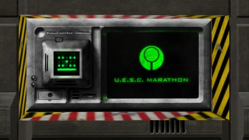 Hami 👾 tweet media