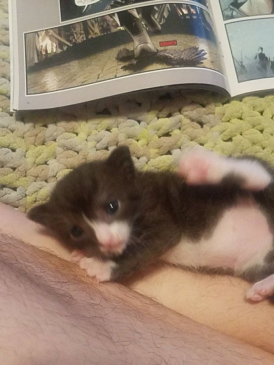 TheIronManWhoLaughs 🏴‍☠️🇺🇲 tweet media