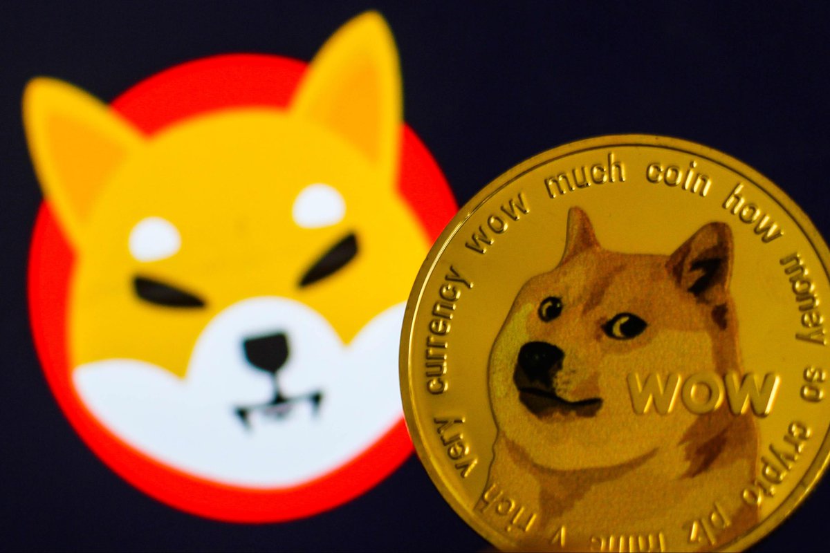 cryptojourneyrs's tweet photo. Take me back to the $SHIB and $DOGE days. 😭 https://t.co/p7y3EinKsw
