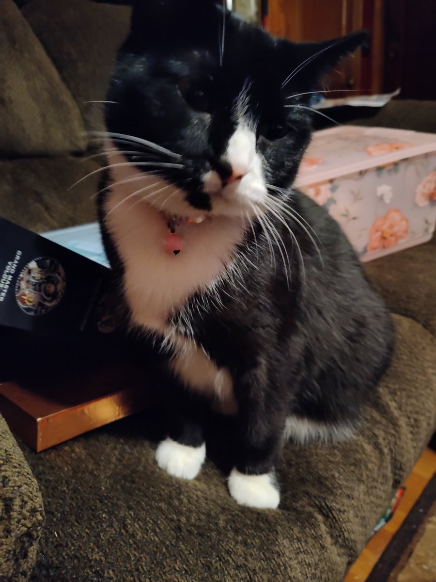 TheIronManWhoLaughs 🏴‍☠️🇺🇲 tweet media