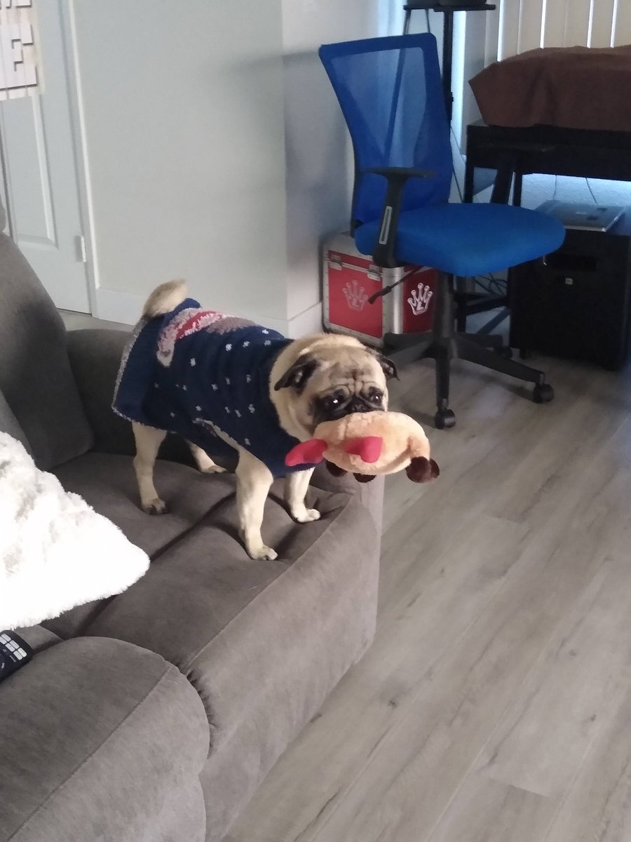 TheDumple's tweet photo. Sweet baby boy so small and wonderful https://t.co/pqURWC1iHU