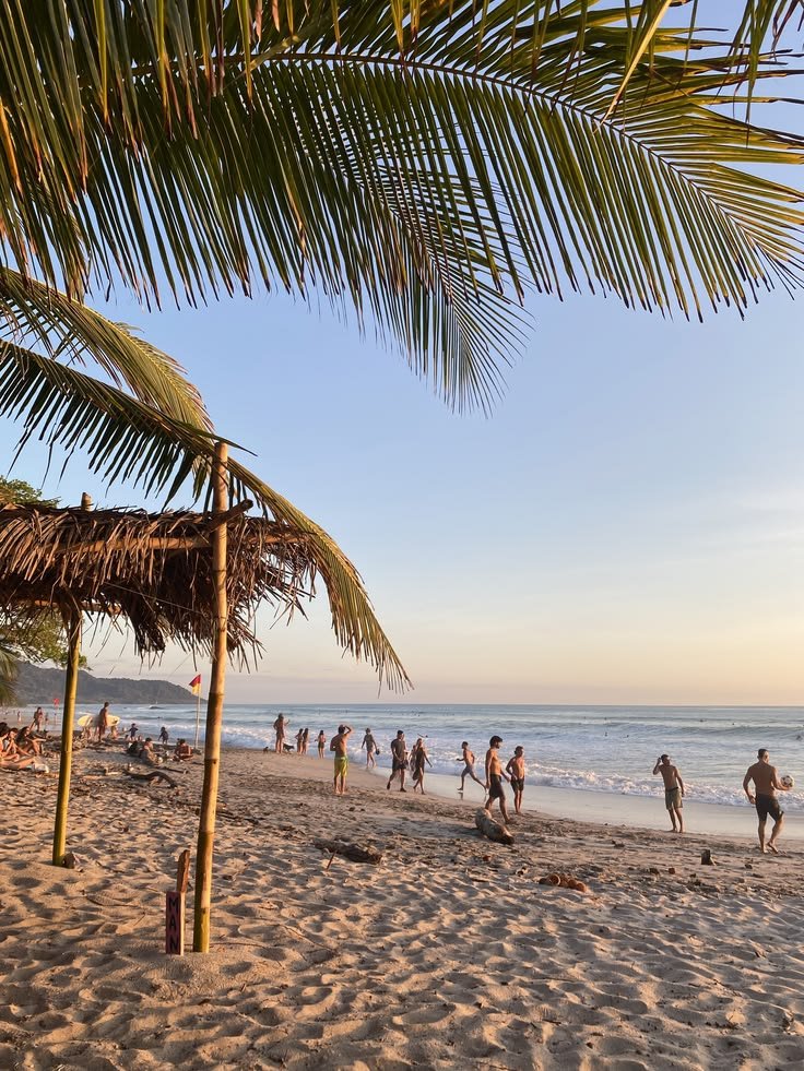 Carnivore Aurelius ©🥩 ☀️🦙 tweet media