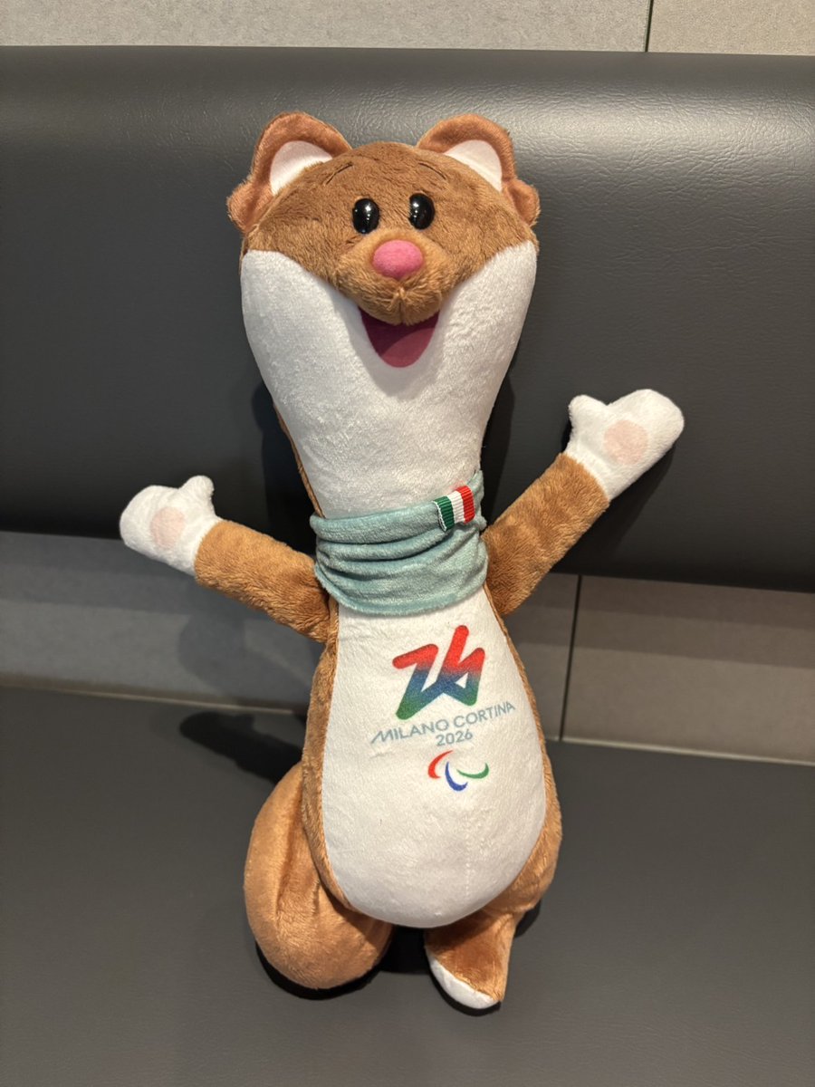 茶色のオコジョ「ミロ」 https://t.co/WmGvYX0q4A