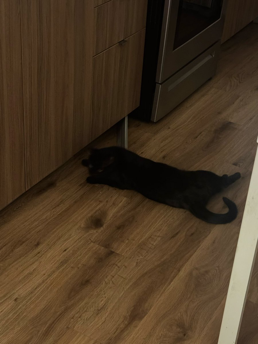 Mongee Sr. tweet media