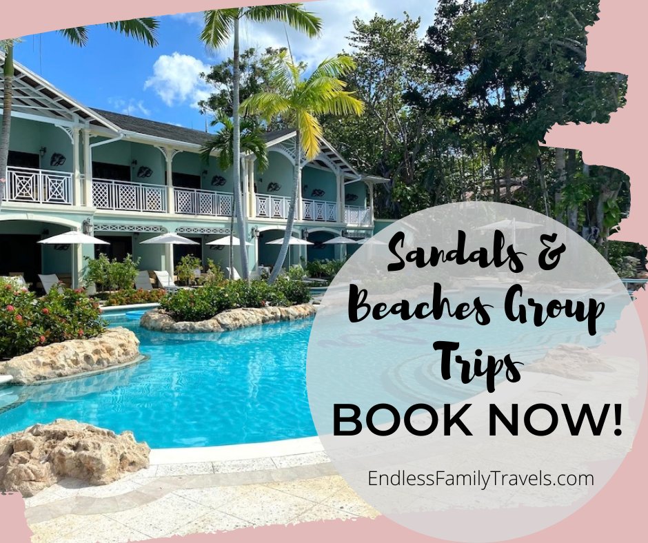 Endless Family Travels tweet media