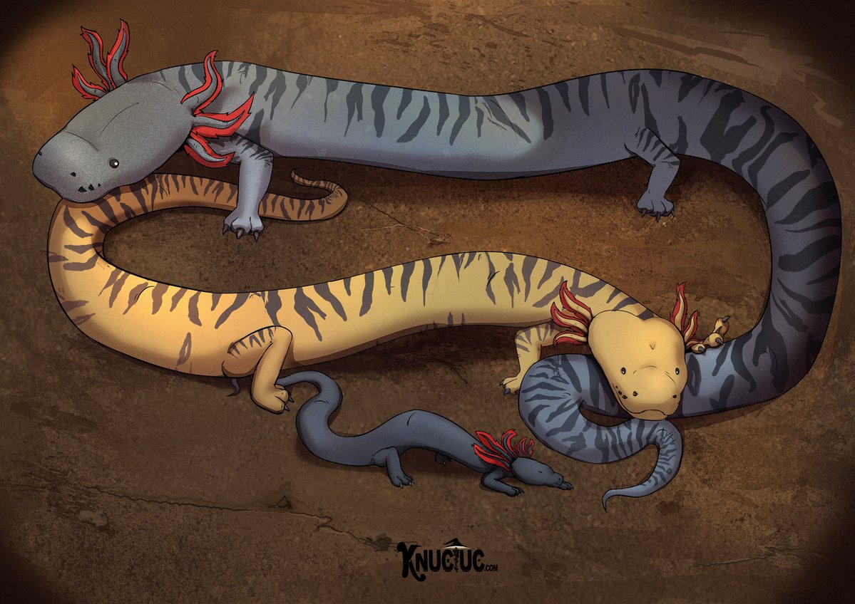 Knuciuc 🐍 - COMMISSIONS OPEN! tweet media