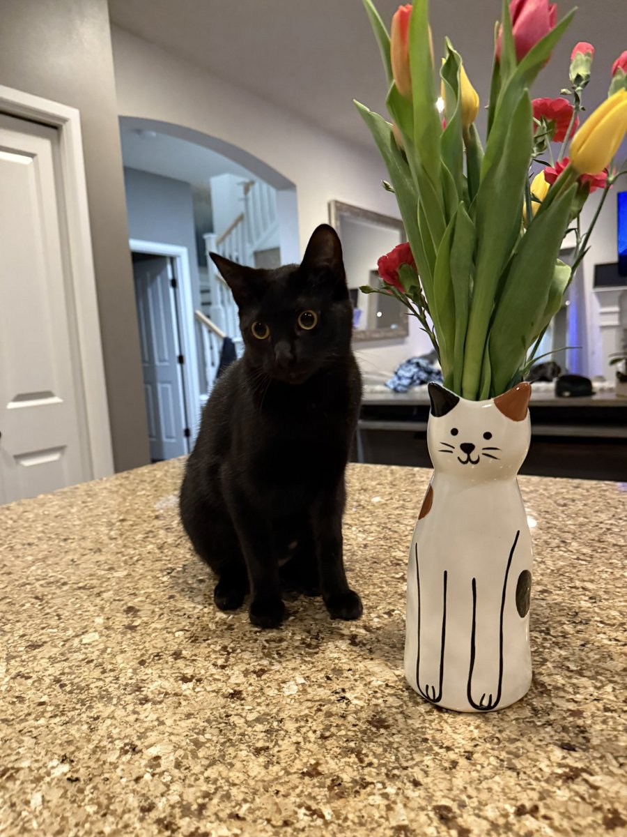 Carlie Jo tweet media