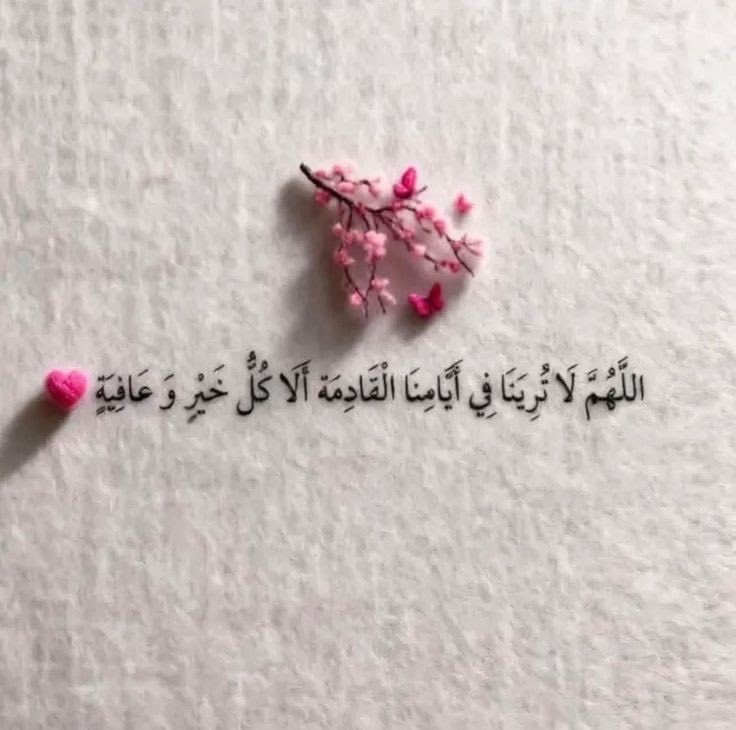 𝓦𝓐𝓐𝓓 tweet media