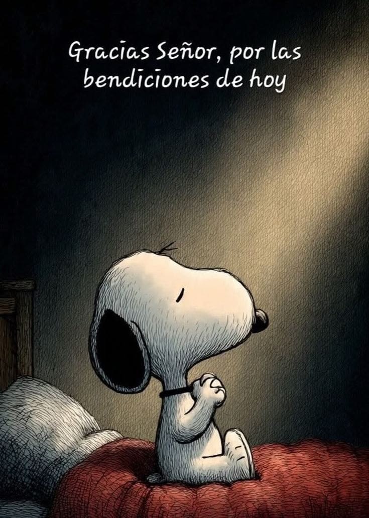 Bendecida noche 💤⭐🌙