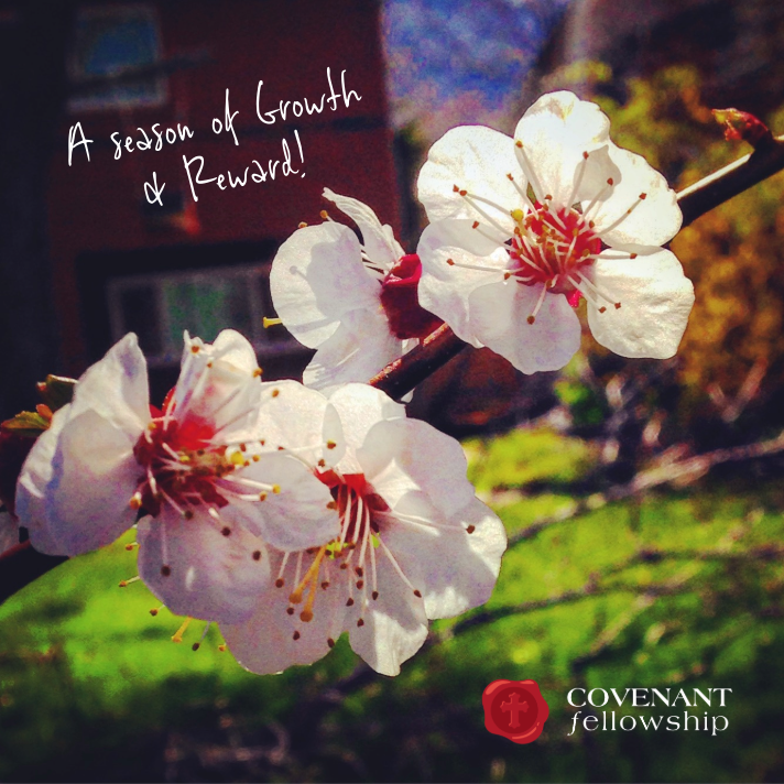 OkcCovenant's tweet image. 🌷✨ New Month • New Goals • New Growth ✨🌷

❤️ ❤️
Covenantfellowshipchurchokc.com
#pastoralphonze

#MondayMotivation #SpringForward #CovenantFellowshipChurchOKC #NewMonthNewMercies #FaithFuel