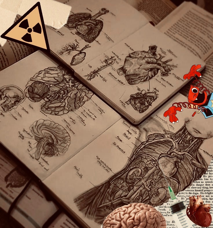 𝐌𝐈𝐒𝐒 𝐆𝐑𝐄𝐘𝐁𝐄𝐑 tweet media