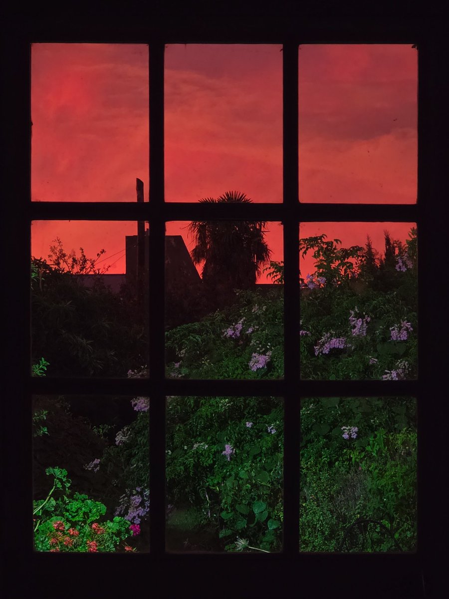 Matias Alonso Revelli tweet media