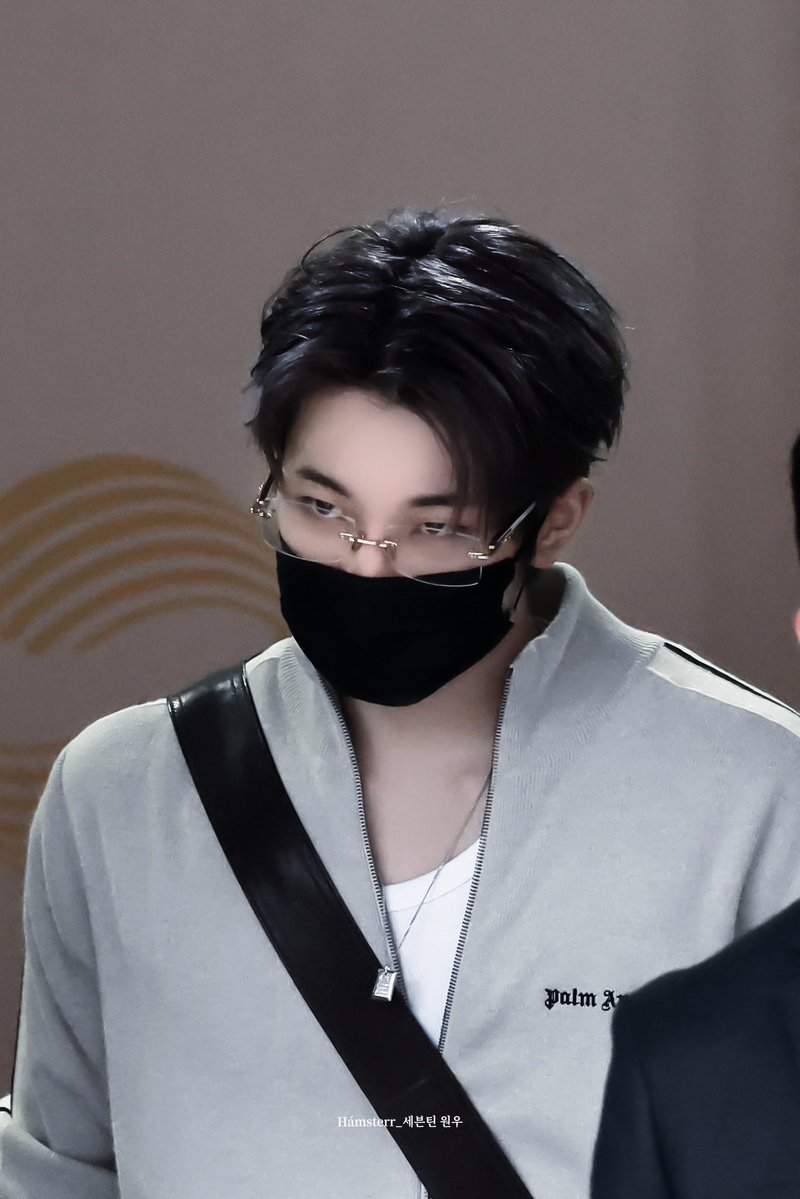 温和で優しいウォヌさんが見せる冷徹無慈悲な表情めっちゃ刺さる