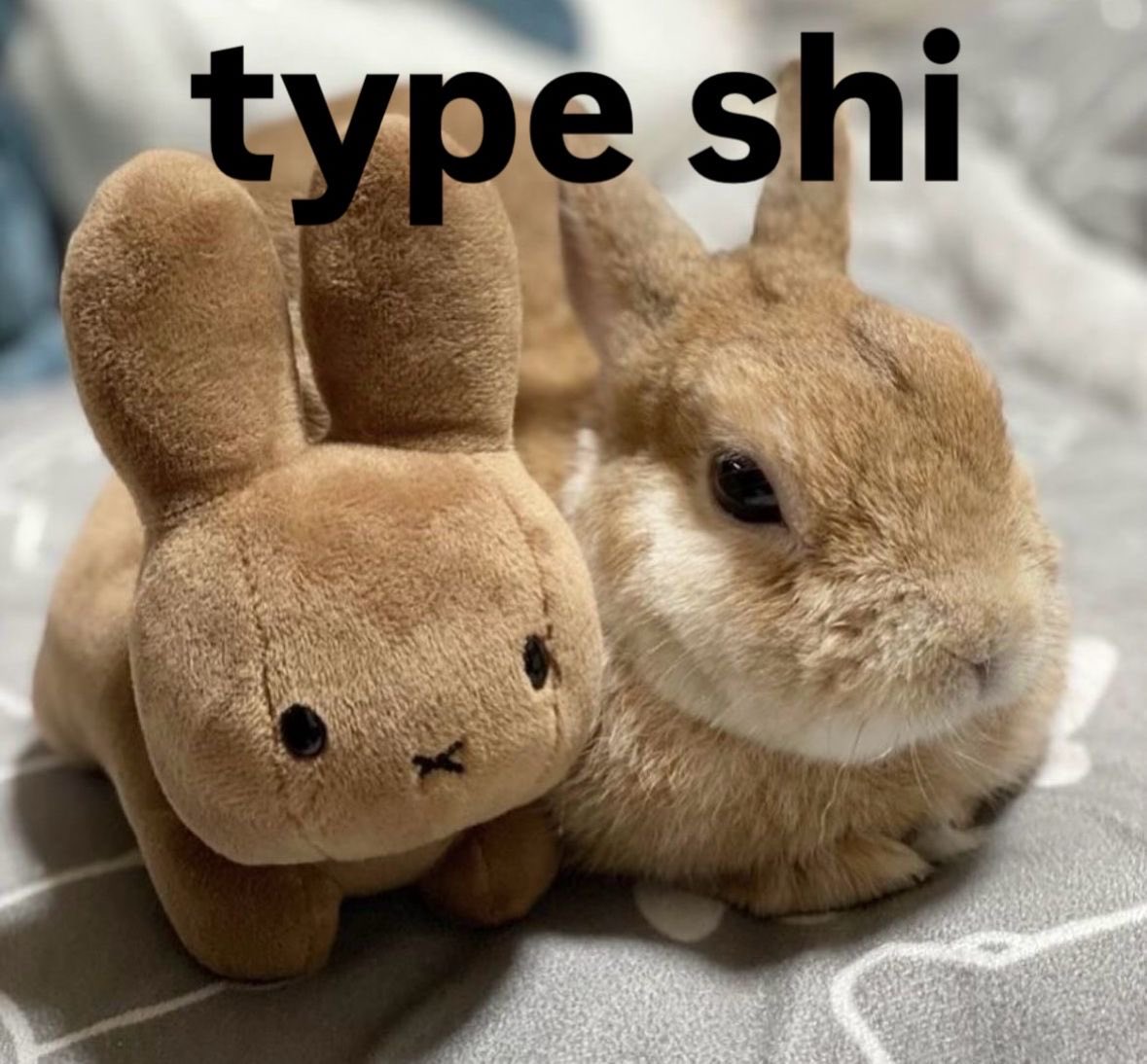 ☆*: .。. march .。.:*☆ tweet media