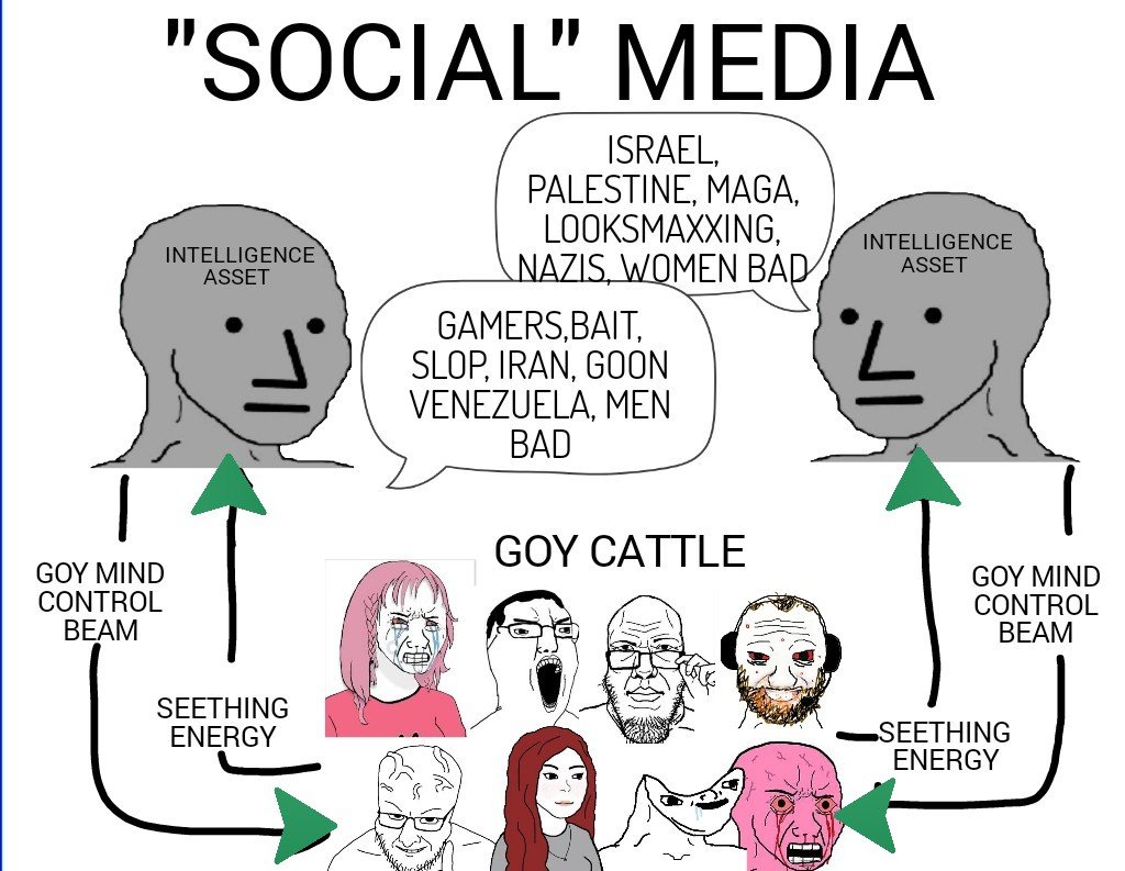 Pexrilled tweet media