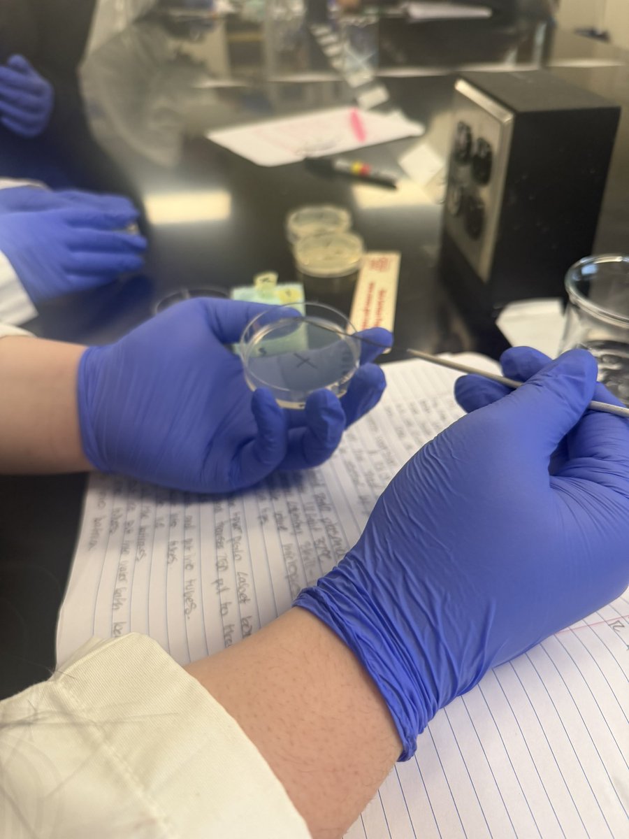 Kelsey Wilson tweet media